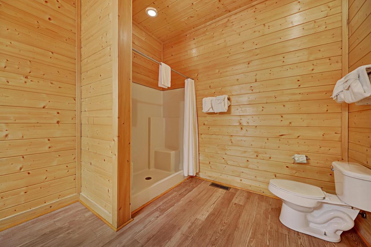 فيلا سيفيرفيلفي Gorgeous Large Mountain View Cabin W Hot Tub, Free Wifi, Games المظهر الخارجي الصورة